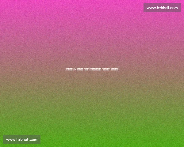 墨西哥为 35 岁大熊猫 “欣欣” 庆生 海外最长寿 “友谊大使” 迎百岁华诞