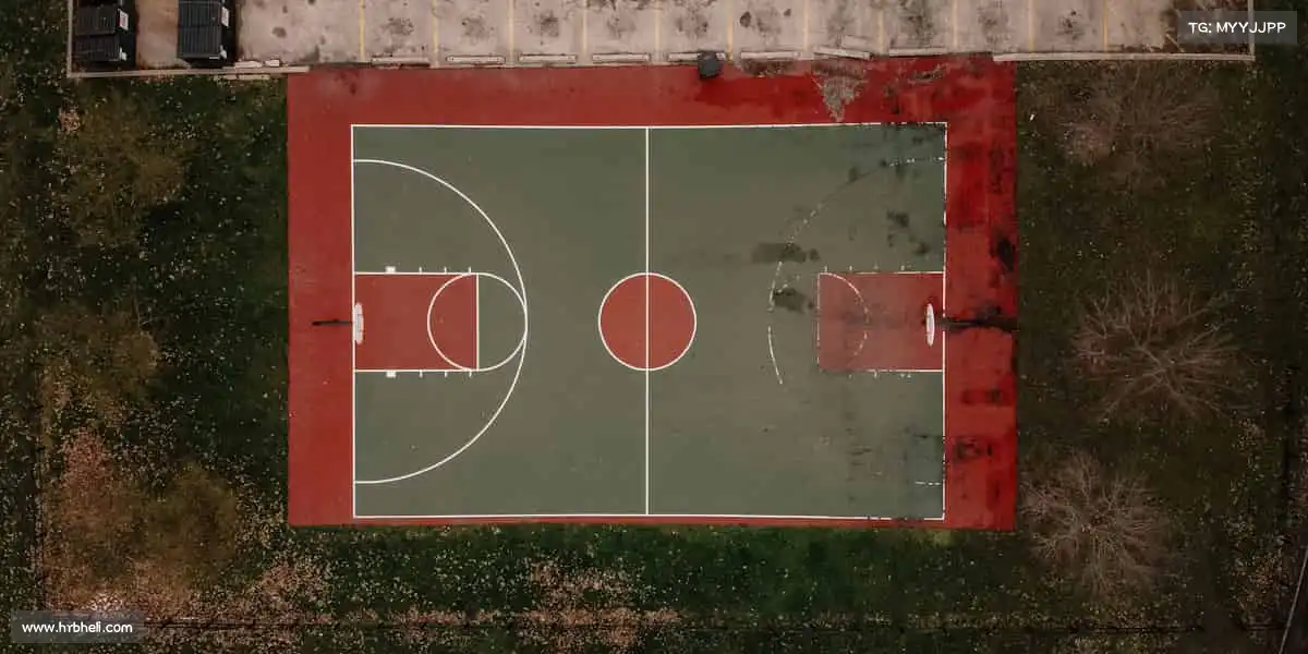 为什么选择我们